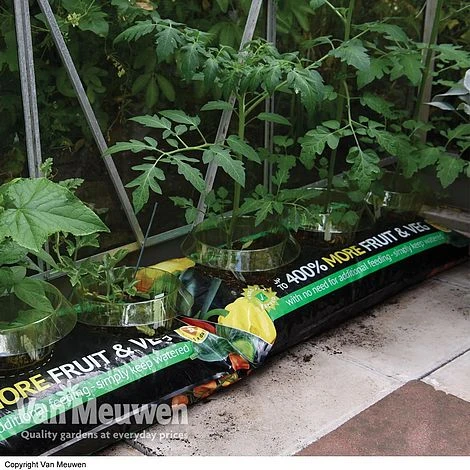 Incredicrop® Grow Bag 1 Incredicrop® Grow Bag