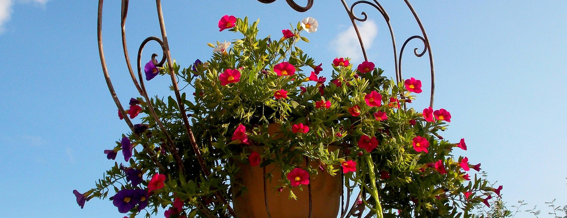 Front Page -Van Meuwen exterior decoration 242168 1920